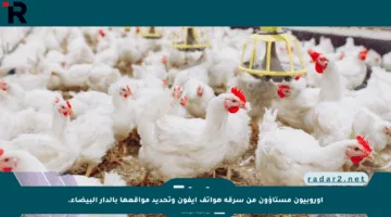 أوروبيون مستاؤون من سرقة هواتف آيفون وتحديد مواقعها بالدار البيضاء.